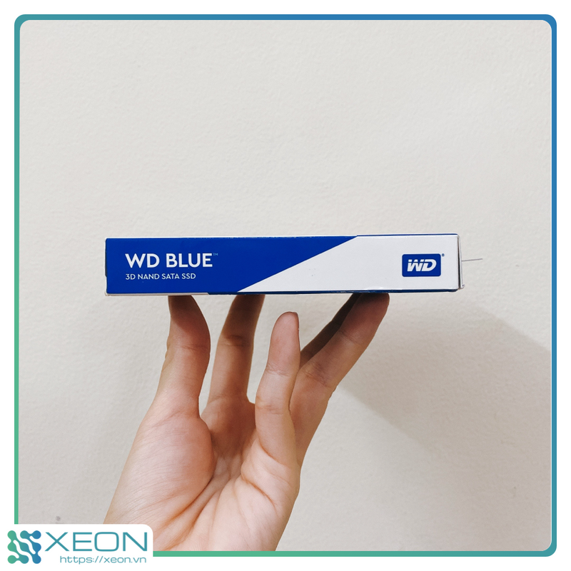 wd-blue-2.png