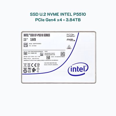 Ổ cứng SSD U.2 NVMe Intel P5510 chuẩn Enterprise 3.84TB / PCIe 4.0 đọc 7000MB/s