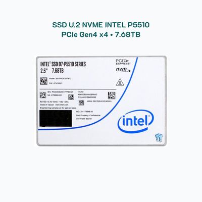 Ổ cứng SSD U.2 NVMe Intel P5510 chuẩn Enterprise 7.68TB / PCIe 4.0 đọc 7000MB/s
