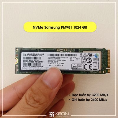 Ổ cứng SSD M.2 PCIe NVMe Samsung PM981 1TB 1024GB