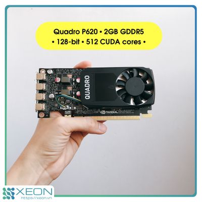 Card đồ họa VGA Nvidia Quadro P620 / 2GB GDDR5 / 128-bit CUDA cores 512