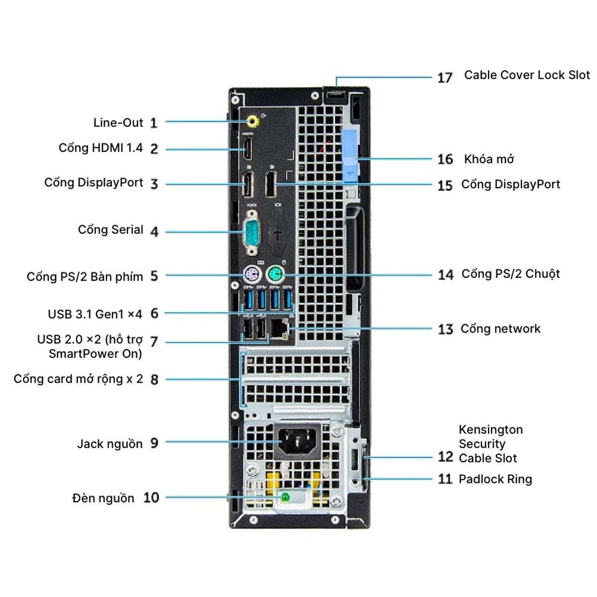 dell-7050-sff-connector-2.jpg