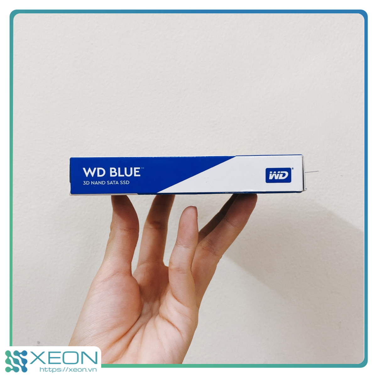 wd-blue-2.png